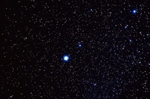 Milky Way Astronomy Prints: Constellation of Canis Minor