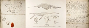 Images Dated 21st February 2011: A 1824 Print of Conybeare's Plesiosaurus Reconstruction