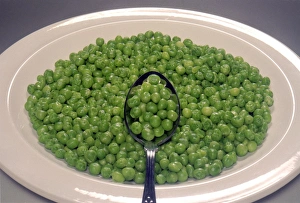 Prints of Cooked peas in a bowl. Peas are the seeds of the pea plant (Pisum sativum). They are a good source of vitamin C and iron Images Dated 2004 February: Cooked Peas Print