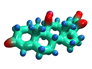 Blood Pressure Regulation Prints: Cortisol hormone molecule