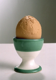 Kitchen Still Life Images Prints: Cracked boiled egg