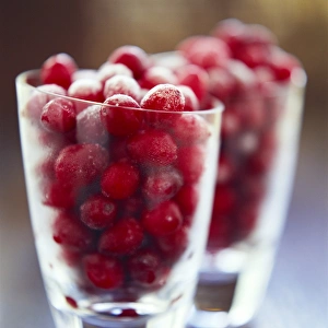 Prints of Cranberries (Vaccinium oxycoccus) in glasses. This fruit only becomes edible after exposure to frost. It is used for making sauces and juice Images Dated 2003 June: Cranberries in Glass Print