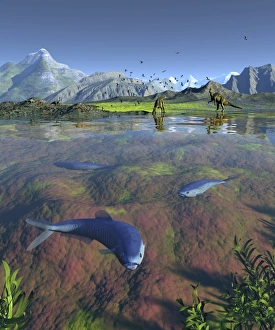 Ancient Marine Life Prints: Creataceous animals, artwork
