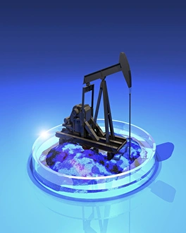 Creation of oil using designer microbes Creation of oil using designer microbes