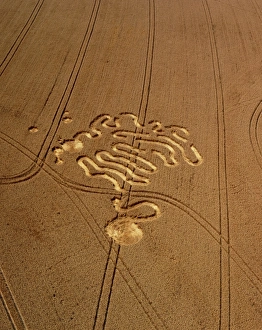 Crop formation, Hungerford, Berkshire Crop formation, Hungerford, Berkshire