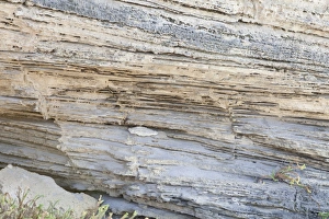 Prints of Cross stratification on a beach cliff face Images Dated 2012 July: Cross stratification print on a cliff face