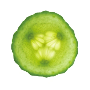 Fresh Cucumber Prints: Cucumber slice