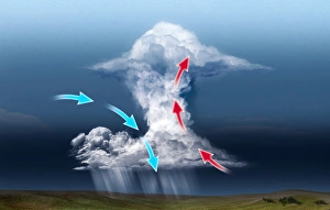 Cumulus thundercloud, diagram C018/0293 Cumulus thundercloud, diagram C018/0293