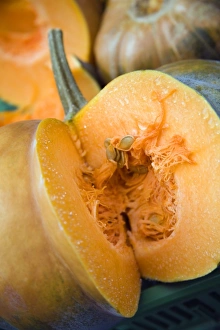 Prints of Cut pumpkin Images Dated 2007 May: Cut Pumpkin Print