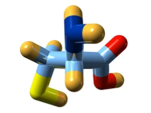 Amino Acid Structure Prints: Cysteine, molecular model