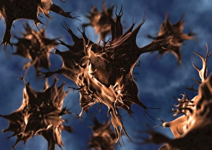 Human Body Biology Prints: Dendritic cell, computer artwork