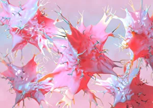 Human Body Prints: Dendritic cells Print