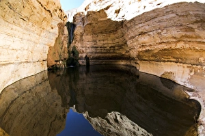 Middle East Desert Scene Prints: Desert oasis