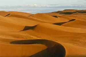 Images Dated 2nd September 2004: Desert sand dunes at Glamis, near Yuma, California