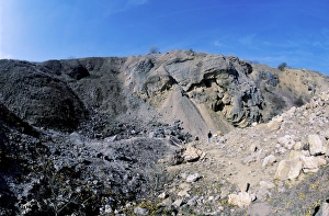 Devonian Period Prints: Devonian layer