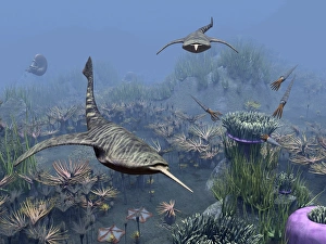 Ancient Sea Creatures Prints: Devonian sea, artwork
