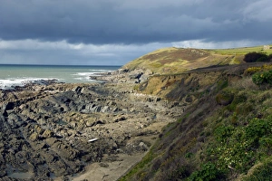 Devon Coast Scenery Prints: Devonian slate coastline