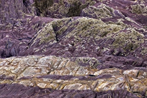 Sedimentary Rock Layers Prints: Devonian slates C017 / 8314