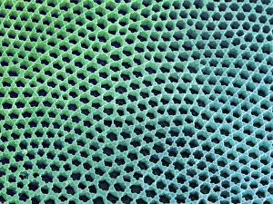 Diatom Cell Wall Print (SEM)