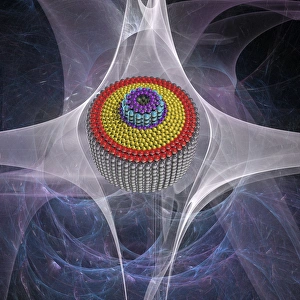 Differential nanogear, artwork F008/3373 Differential nanogear, artwork F008/3373