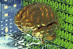 Prints of Digital brain. Conceptual computer artwork of a virtual human brain with circuit boards and binary numbers. This could represent artificial intelligence or computer models of the brain Images Dated 2003 April: Digital Brain Print: A Conceptual Computer Artwork of a Virtual Human Brain