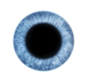 Images Dated 28th February 2013: Dilated Pupil Print