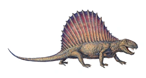 Prehistoric Predator Prints: Dimetrodon, computer artwork