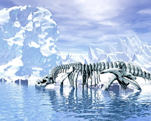 Dinosaur Fossils Prints: Dinosaur bones