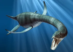 Prehistoric Marine Life Prints: Plesiosaur attack, artwork