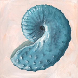 Ammonite Fossil Prints: Discoscaphites ammonite, artwork