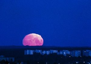 A distorted full Moon seen just above the horizon A distorted full Moon seen just above the horizon