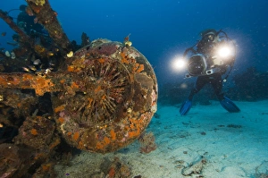 Scuba Diving In Asia Prints: Diver exploring a plane wreck