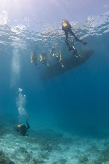Scuba Diving Maldives Prints: Divers starting a dive
