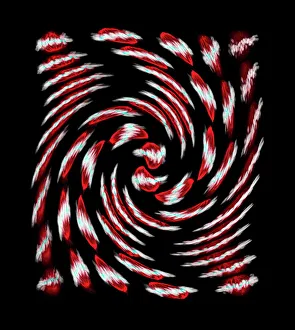 DNA Prints: Mitosis Print: A Spiral of Cells in Metaphase