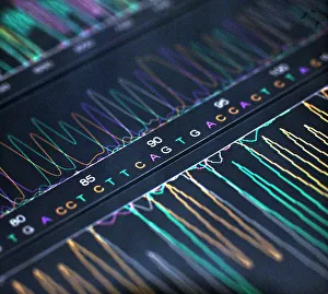 DNA Prints: DNA Analysis Print: Double Helix DNA Sequencing Results