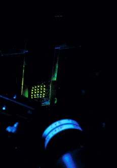 DNA BioChip being scanned by a laser DNA BioChip being scanned by a laser