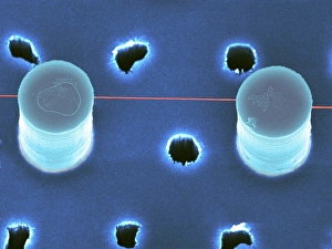 DNA Bundle on Silicon Nanopillars Print