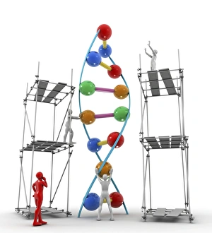 Deoxyribonucleic Acid Structure Prints: DNA construction, artwork