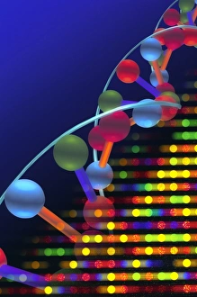 Molecular Biology Images Prints: DNA microarray and double helix