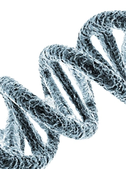 DNA Molecule Print