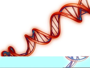 Computer Artwork Of DNA Prints: DNA molecule, artwork C013 / 9976