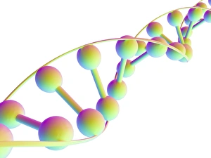 DNA Double Helix Print