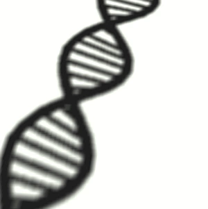 DNA molecule shadow DNA molecule shadow
