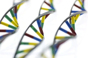 DNA Molecule Print