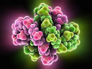 Molecular Structure Of DNA Prints: DNA quadruplex, molecular model