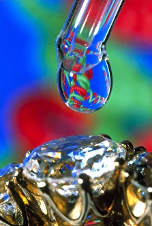 DNA security marking of a diamond DNA security marking of a diamond