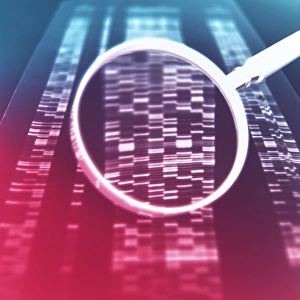 Genetic Analysis Prints: DNA sequencing