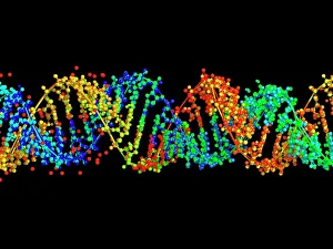 Scientific Posters: Double-stranded RNA molecule Print