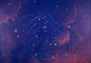 Images Dated 2001: Draco Constellation Print