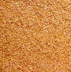 Lentil Nutrition Facts Prints: Dried lentils, a type of pulse